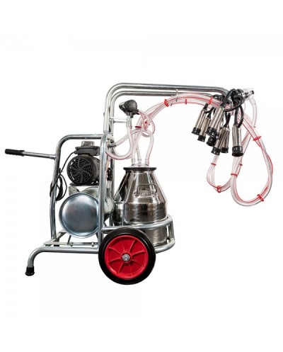 Aparat de muls vaci EMT 2 posturi, 1 bidon inox 40 litri,... 2