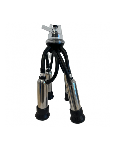 Ansamblu colector vaci cu vizor 160 CC