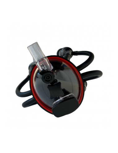 Ansamblu colector vaci oval 240 CC( carcasa inox)