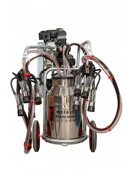 Aparat de muls vaci MELASTY cu motor pe benzina si electric 2 posturi, 1 bidon inox 40 litri