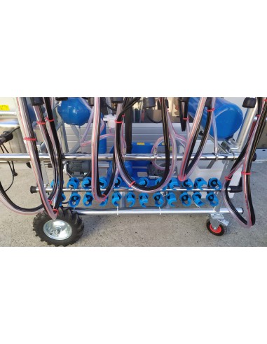 Sala de muls bovine 6 posturi( PULSATOARE...