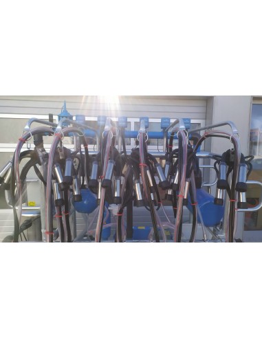 Sala de muls bovine 6 posturi( PULSATOARE...