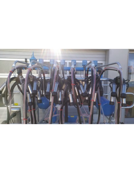 Sala de muls bovine 6 posturi( PULSATOARE ELECTRONICE)