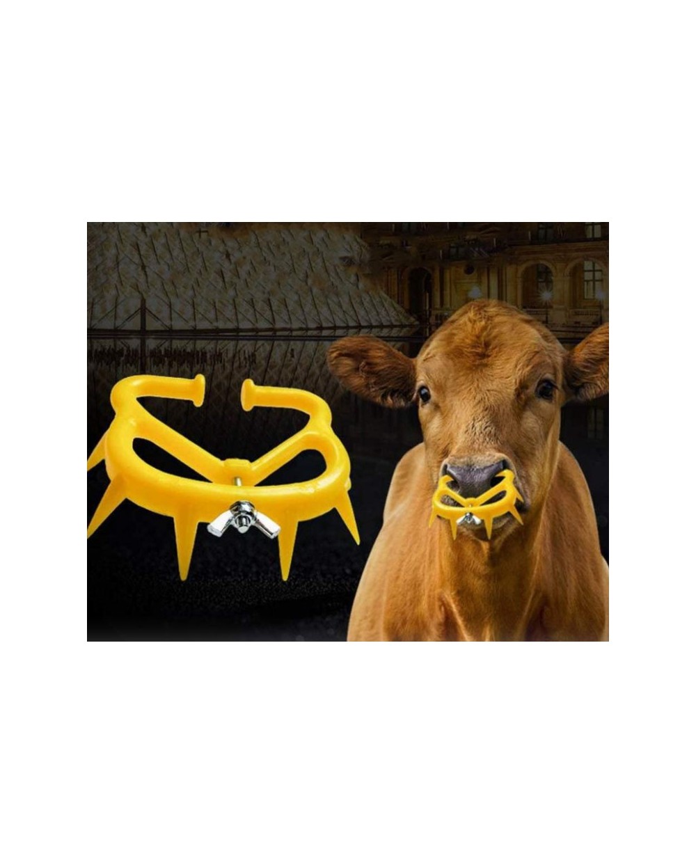 Dispozitiv intarcat viteii