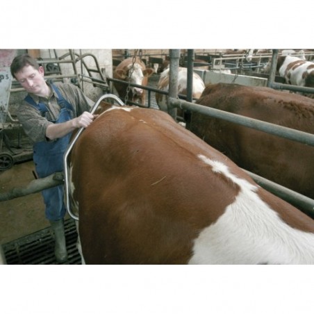 DISPOZITIV PENTRU CONTENTIE BOVINE